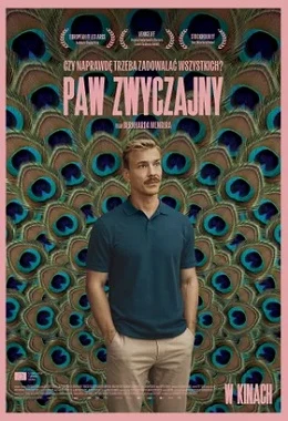Paw Zwyczajny